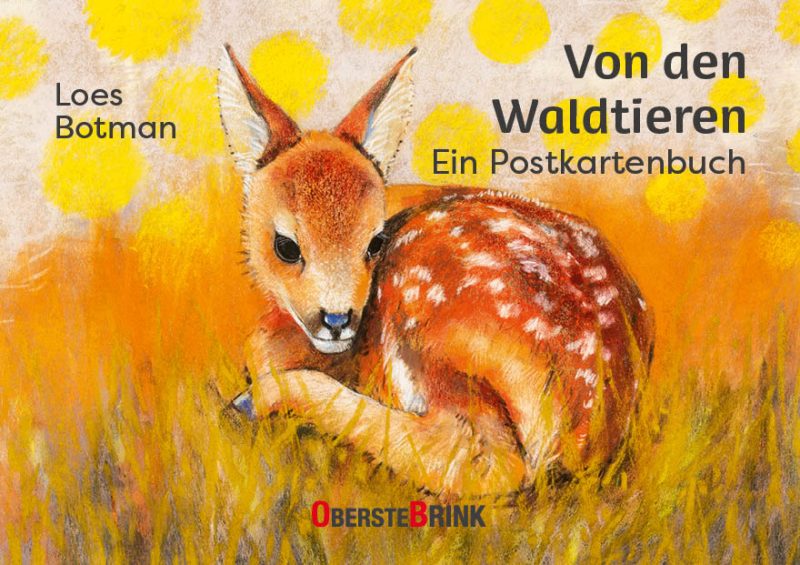 waldtiere postkartenbuch